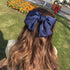 Bow Knot Hair Clip
